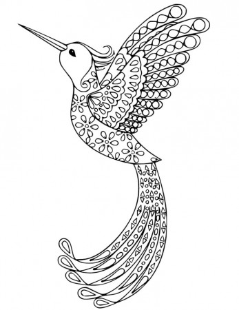 Wonderful Bird of Paradise Coloring Page - Free Printable Coloring Pages  for Kids