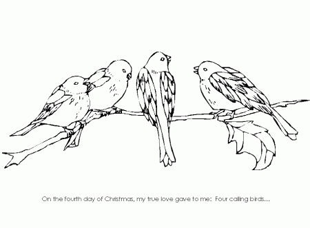 Christmas Coloring Sheets – 4 Calling Birds | busy little christmas elf