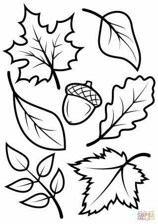 Fall Leaves and Acorn coloring page | Free Printable Coloring Pages