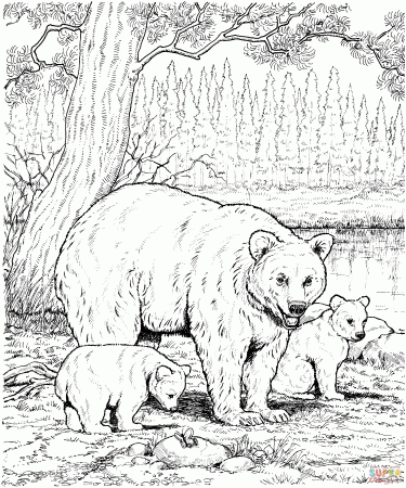 American black bears coloring pages | Free Coloring Pages