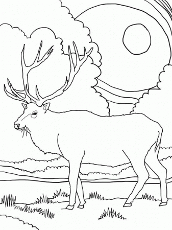 Download Online Coloring Pages for Free - Part 14