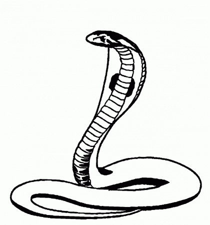 9 Pics of Cobra Coloring Pages - Free Printable Snake Coloring ...