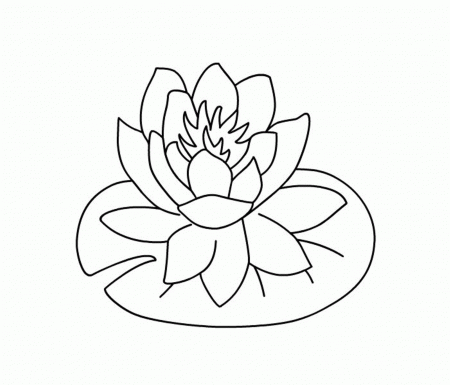 Hawaiian Flower Printable - Coloring Pages for Kids and for Adults