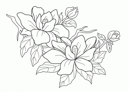 Coloring Pages Trees Printable Coloring Pages Coloring Pages Of ...