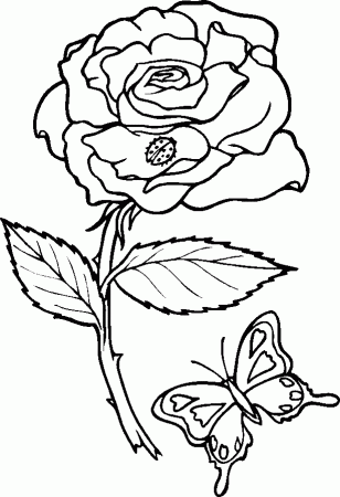 Printable Rose - Coloring Pages for Kids and for Adults
