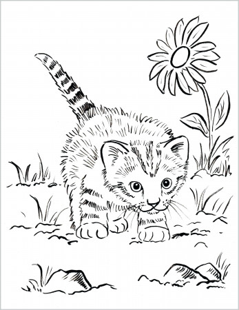 coloring ~ Coloring Pages Kitten Print Kitty Cats Cat Cute ...