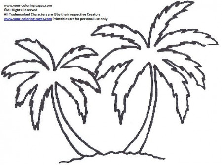 your-coloring-pages.com | Tree coloring page, Palm tree drawing, Palm tree  crafts
