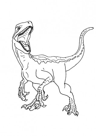 Jurassic World Velociraptor Coloring Pages Coloring Pages 12th grade math  problems and answers 5th grade practice test create grid paper mathematical  expression solver solving like terms Worksheets for Any Grade