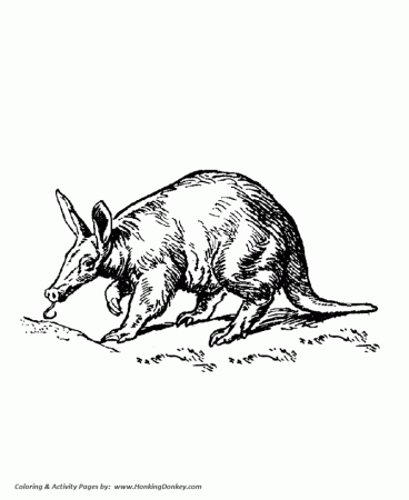 Ant Eater Coloring Pages | Aardvark Coloring Page and Kids Activity sheet |  HonkingDonkey