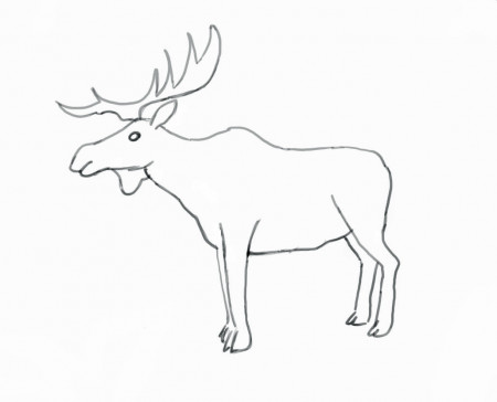 How To Draw a Moose - Step-by-Step