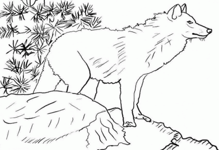 Wolf Coloring Page Free - High Quality Coloring Pages