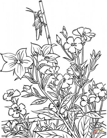 Download Coloring Pages Of Gardens - Pipevine.co