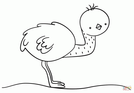 Kawaii Emu coloring page | Free Printable Coloring Pages