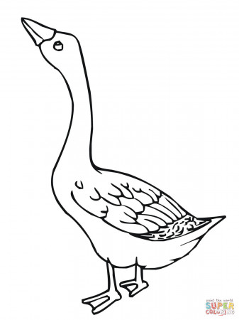 Goose Coloring Page | Program Ideas and Inspiration | Pinterest ...