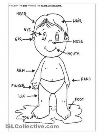 Related Body Parts Coloring Pages For Preschool | speech stuff ...