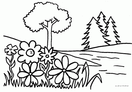 parts of a plant coloring page - Free Coloring Sheets