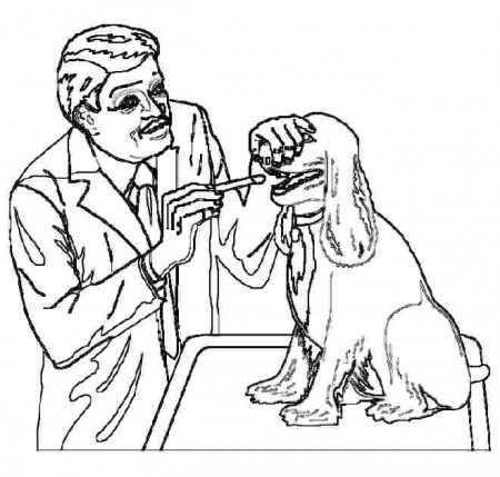 veterinarian hospitals of coloring pages coloring pages. click to ...