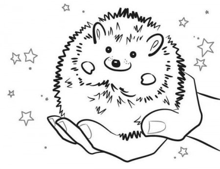 Cute Hedgehog Coloring Pages