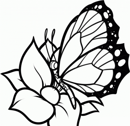 23 Printable Coloring Pages for Kids for: Coloring Flower ...