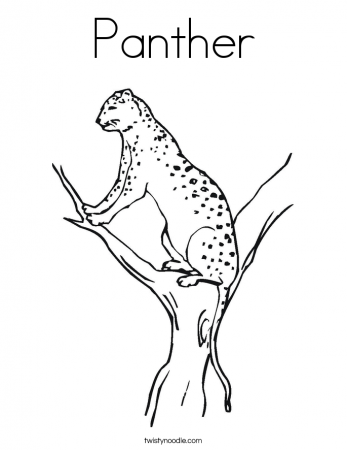 Panther - Coloring Pages for Kids and for Adults