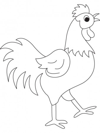 Beautyful rooster coloring page | Download Free Beautyful rooster ...