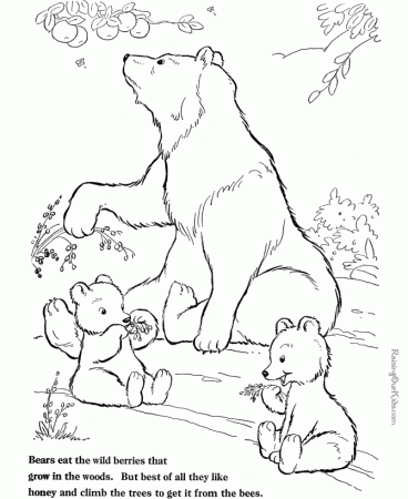 Bear coloring page to print and color 013