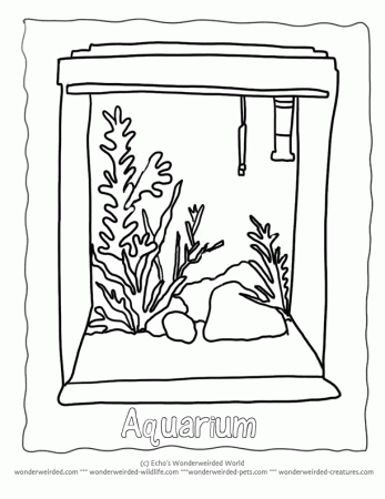 Blank Aquarium Coloring Pages Free, Outline Drawing of Aquarium 
