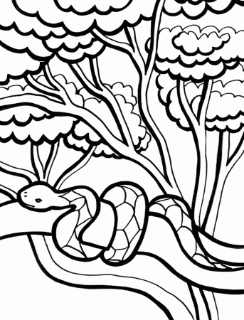 Snake Coloring Pages | Coloring Kids