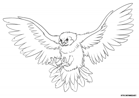 Owl Line Art by Greykitty