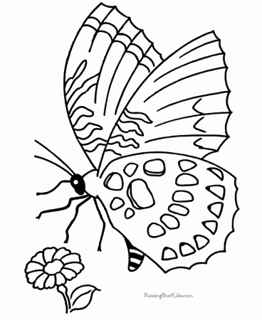 Printable Butterfly Coloring Picture