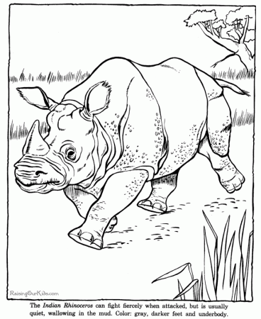 Zoo Animal Coloring Pages | COLORING WS