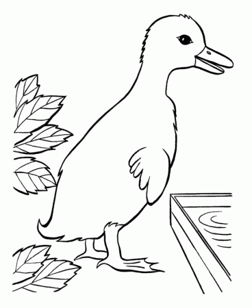 BlueBonkers: Free Printable Easter Ducks Coloring Page Sheets - 17 