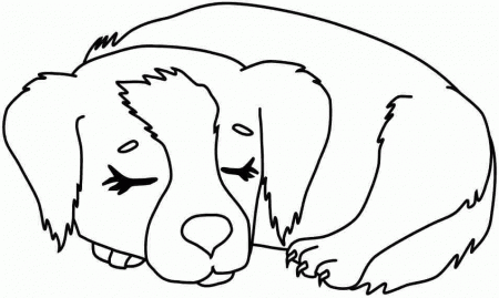 Animal Dogs Colouring Sheets Free Printable For Little Kids 8693#