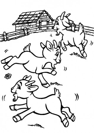 Free Printable Goat Coloring Pages, Goat Coloring Pictures for  Preschoolers, Kids | Parentune.com