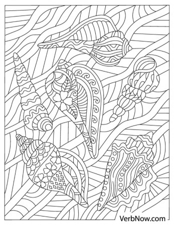 Free SHELLS Coloring Pages for Download (PDF)