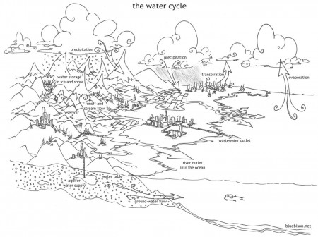 coloring pages: the water cycle | bluebison.net