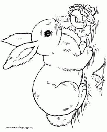 Bunny Jumping Coloring Page - Coloring Pages For All Ages