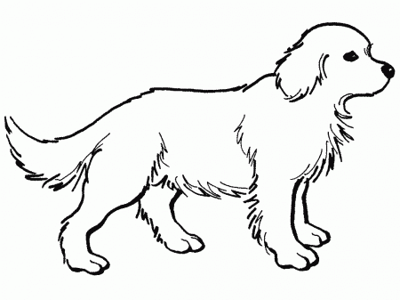 7 Pics of Dogs Golden Retriever Coloring Pages Realistic - Golden ...