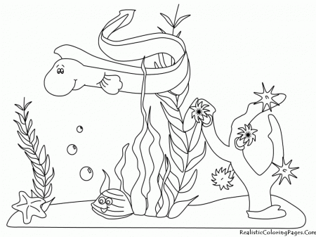 Printable Coloring Pages Ocean Life - High Quality Coloring Pages