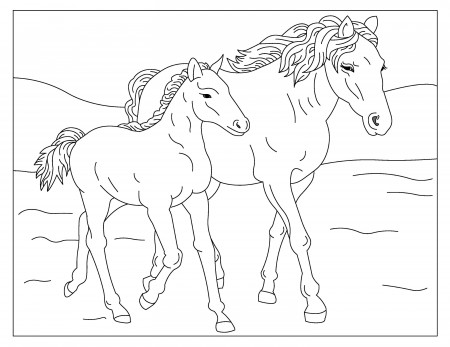 Wild Horses 2 32 Printable Coloring Pages Horse Coloring - Etsy