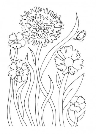 Free Printable Flower Coloring Pages For Kids | Printable ...