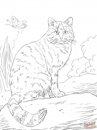 European Wild Cat coloring page | Free Printable Coloring Pages