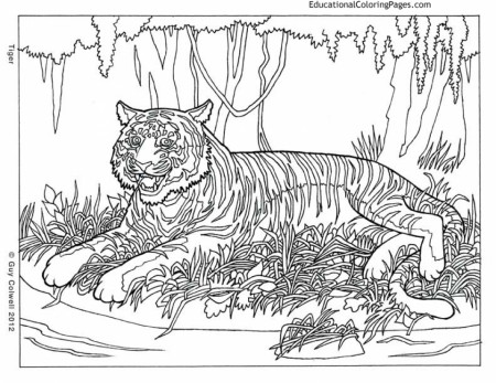 coloring pages : Free Printable Difficultimals Coloring Pages For Adults  Everfreecoloring Com Wildimal Image Ideas Realistic 41 Wild Animal Coloring  Pages For Adults Image Ideas ~ coastsidebrewfest