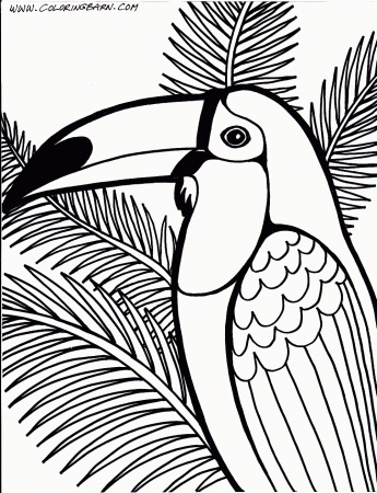 Rainforest Coloring Page Rainforest Animal Coloring Pages Free ...