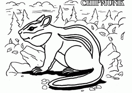 Chipmunk coloring page - Animals Town - animals color sheet ...