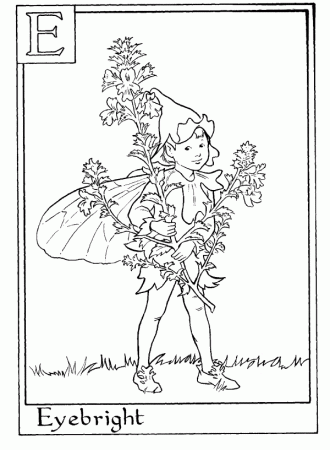 Letter E For Eyebright Flower Fairy Coloring Page - Alphabet ...