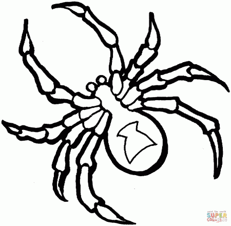 Black Window Spider Coloring Pages For Kids