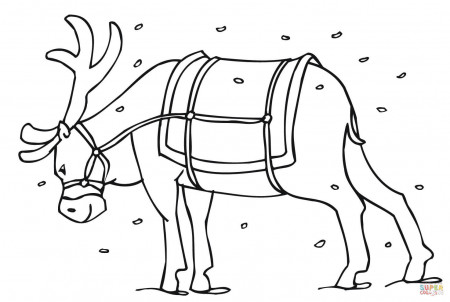 Santa's Reindeer coloring page | Free Printable Coloring Pages