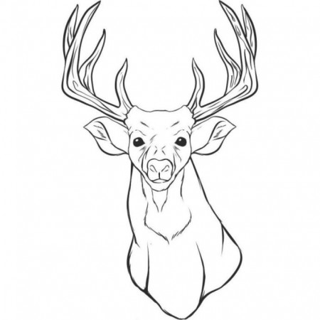 Free Printable Deer Coloring For Kids Head Grade Math Area And Perimeter  Worksheets Deer Head Coloring Pages Coloring Pages bbc skillswise division  eighth grade geometry one minute math drills multiplication addition and