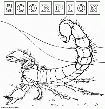 Scorpion coloring pages | Coloring pages to download and print
